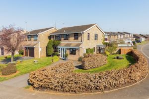 Photo 5- click for photo gallery